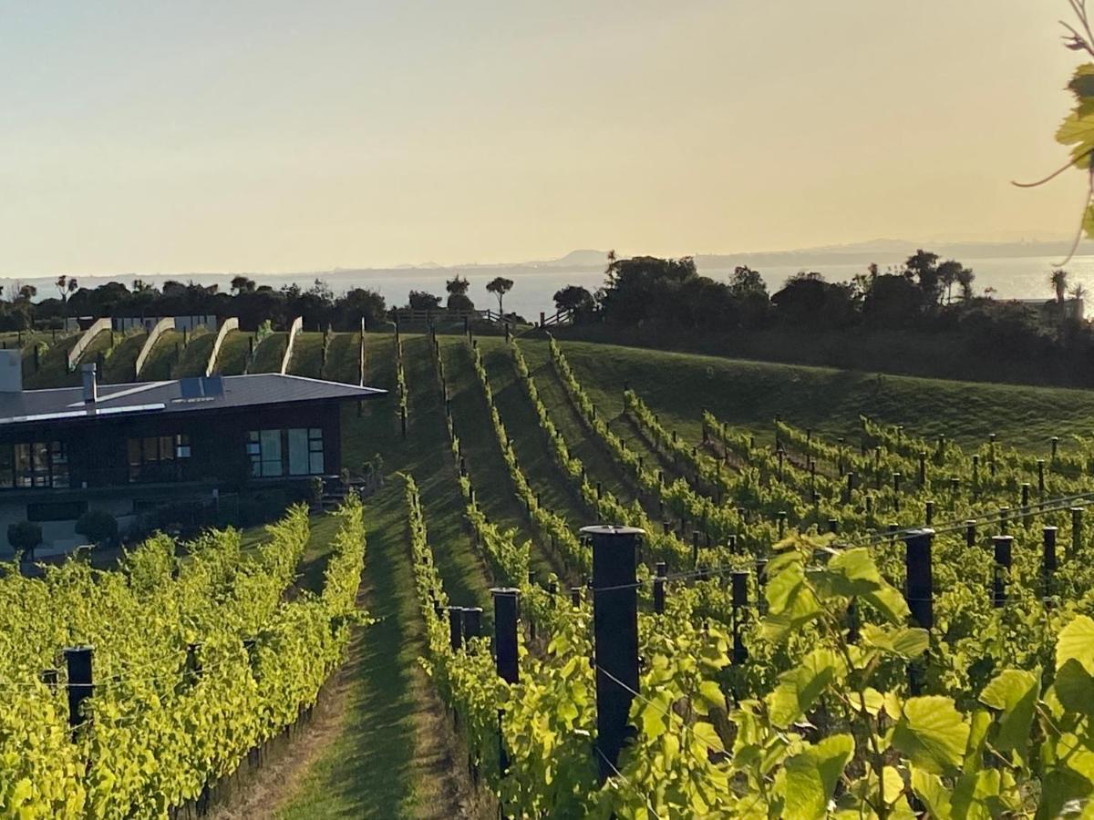 La Bodega Waiheke Island Hotel Surfdale Ngoại thất bức ảnh
