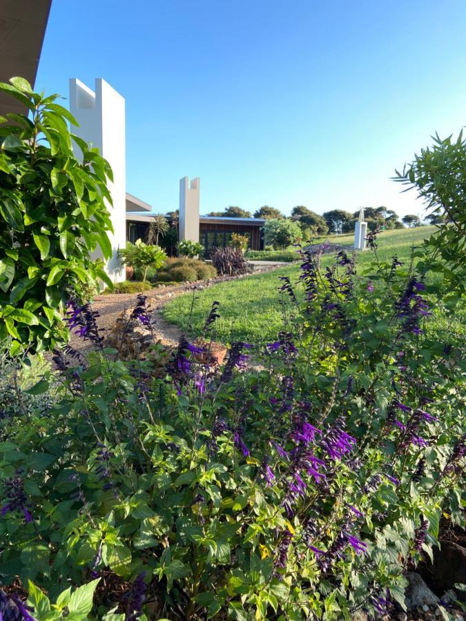 La Bodega Waiheke Island Hotel Surfdale Ngoại thất bức ảnh
